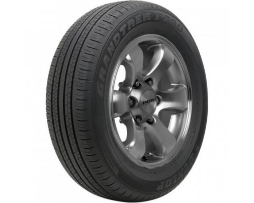 Dunlop GrandTrek PT30 225/65 R17 102H